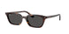 135987 - Tortoise - Dark Grey
