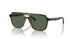 271871 - Brown - Dark Green