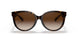51203B - Havana - Brown Gradient
