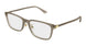 004 - Brown - Transparent
