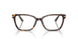 5026 - Tortoise