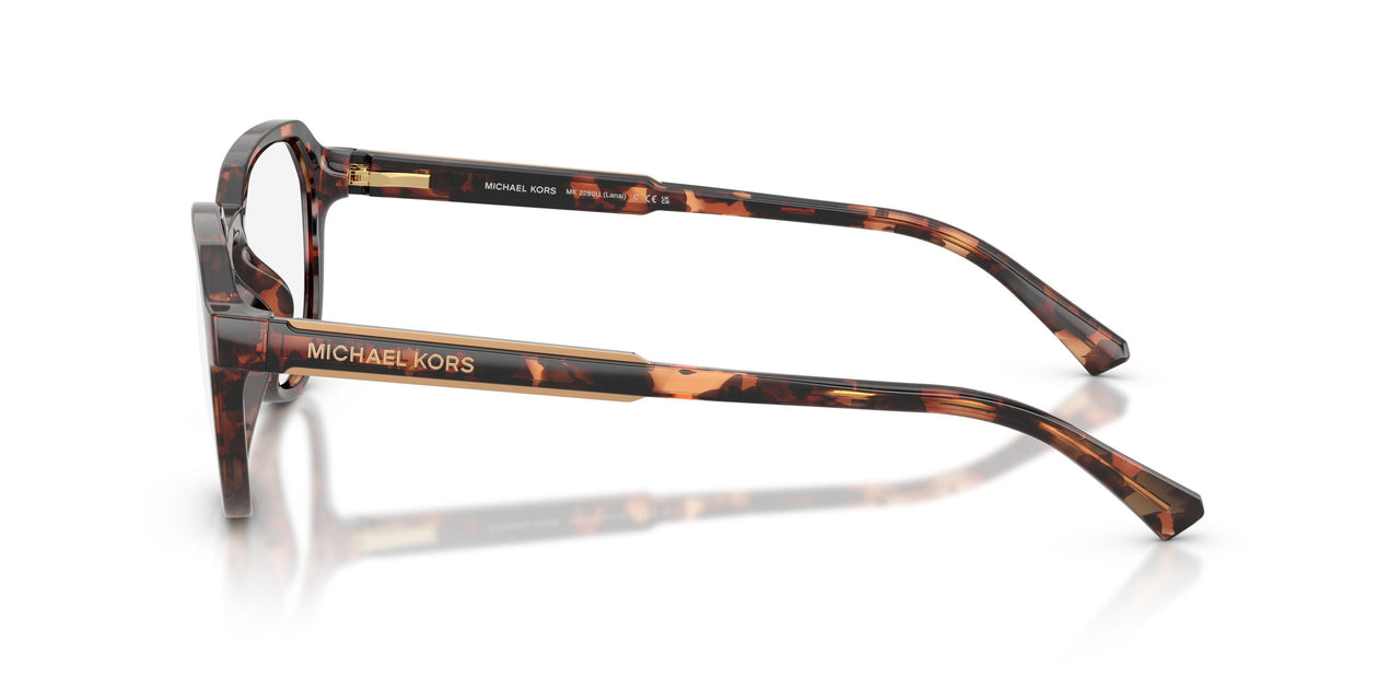 300613 - Tortoise - Smoke Gradient