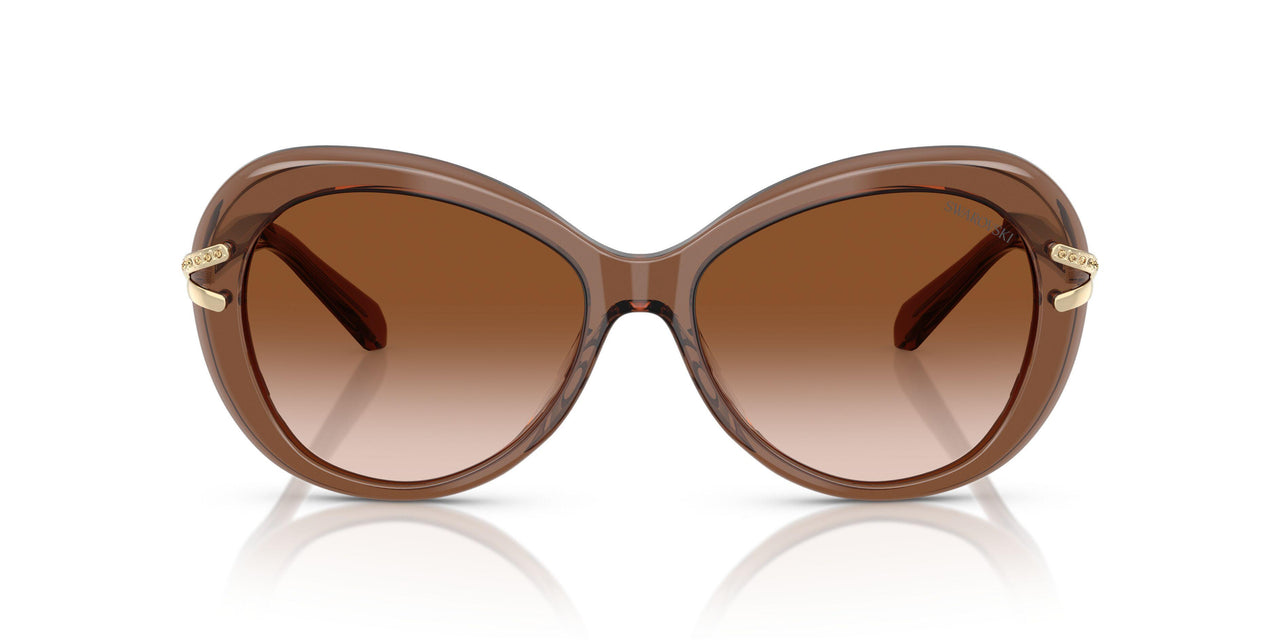 106713 - Brown - Gradient Brown