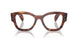 2144 - Brown - Clear