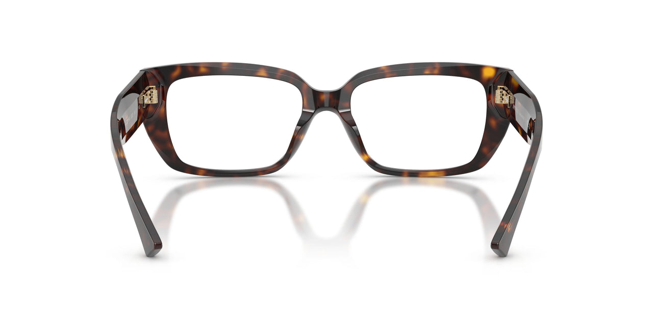 5002 - Tortoise