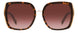 0086-HA - HAVANA - Brown Gradient