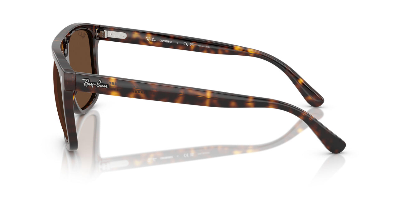 902/AN - Tortoise - Polar Brown