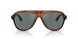 1721W5 - Brown - Regal Blue