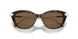100273 - Tortoise - Dark Brown