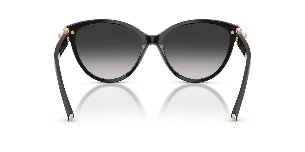 80013C - Black - Grey Gradient