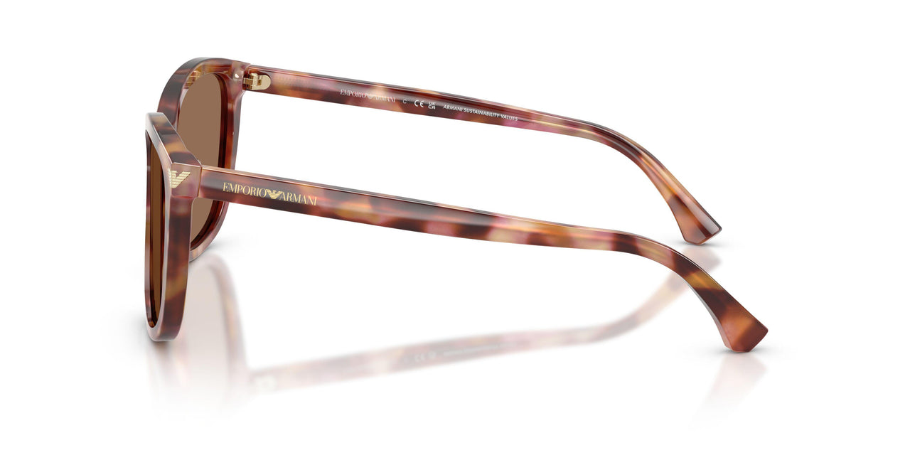 619673 - Red - Dark Brown
