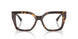 5002 - Tortoise