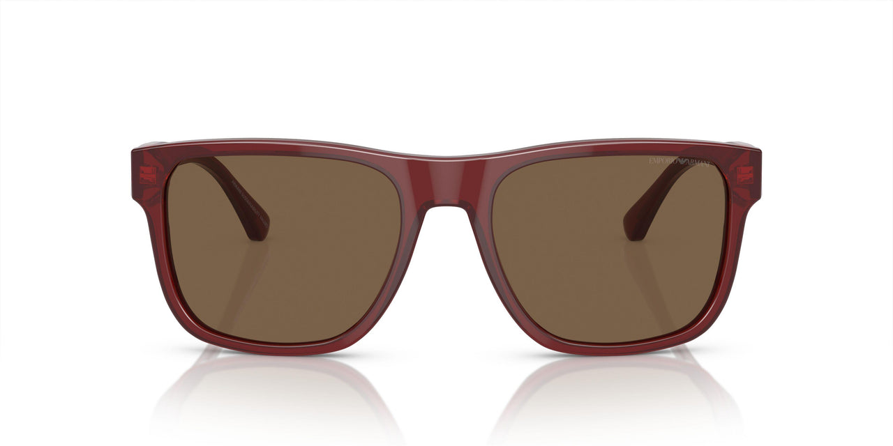 507573 - Red - Dark Brown