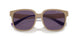 83421A - Brown - Violet