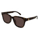 002 - Havana - Brown