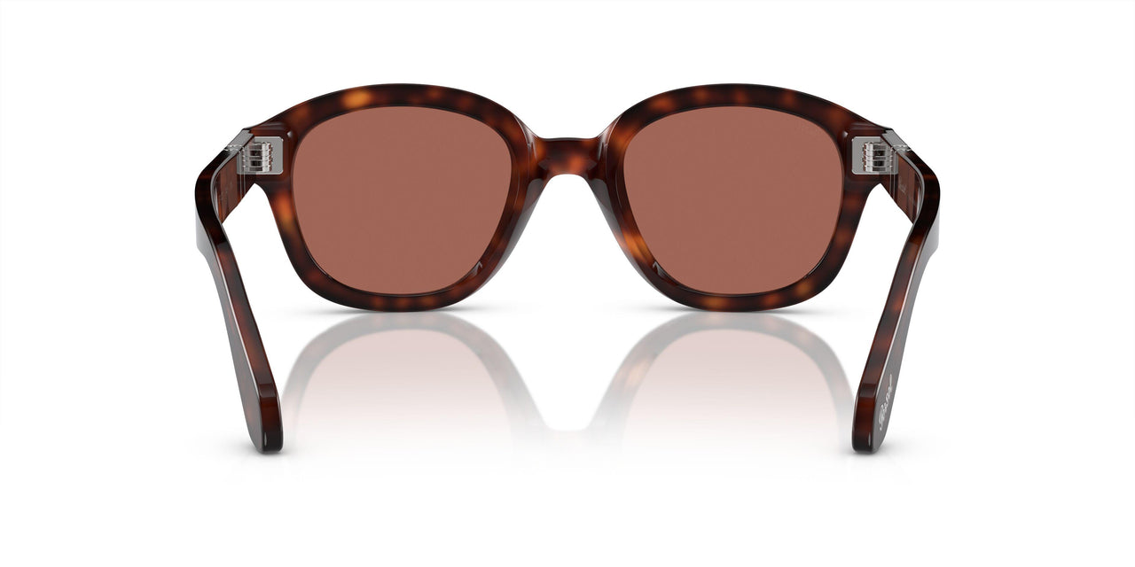 24/H2 - Tortoise - Blue Vintage