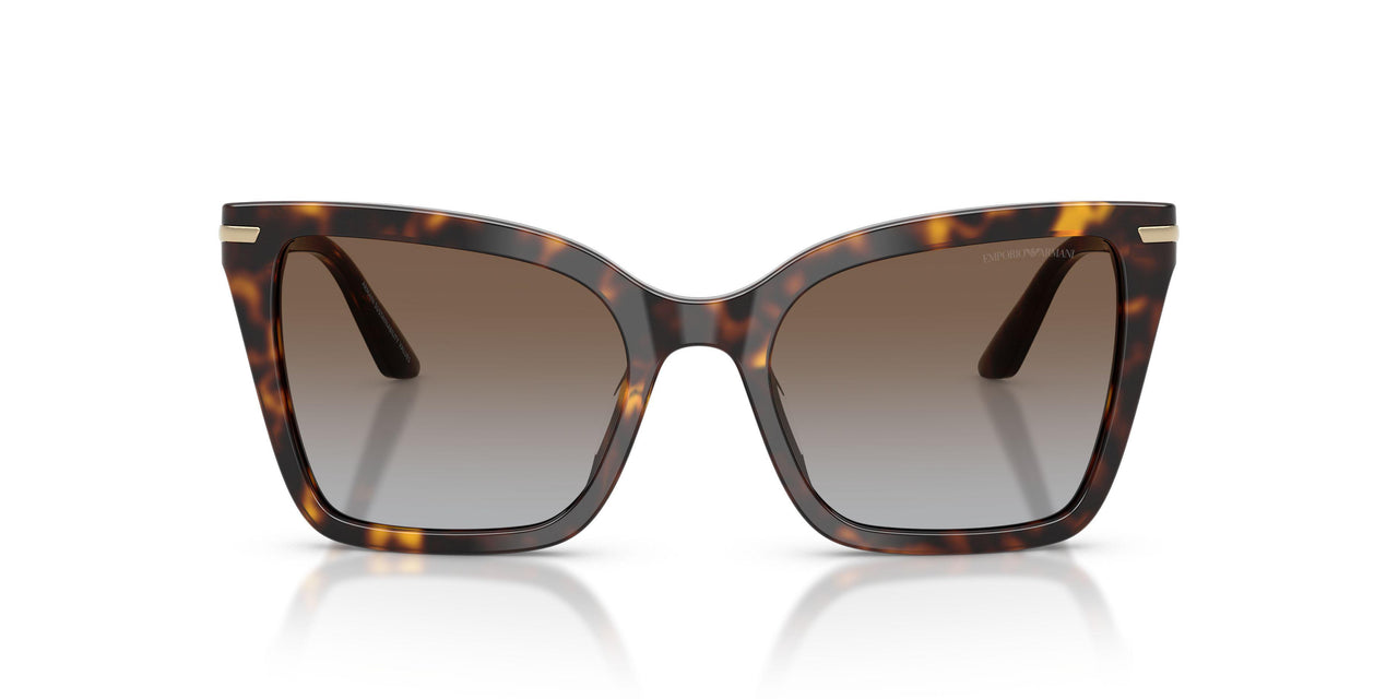 502689 - Tortoise - Grey Gradient Brown