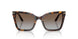502689 - Tortoise - Grey Gradient Brown