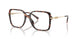 4031 - Tortoise