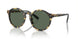 500471 - Dark Green