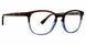 TRTB - Tortoise Blue
