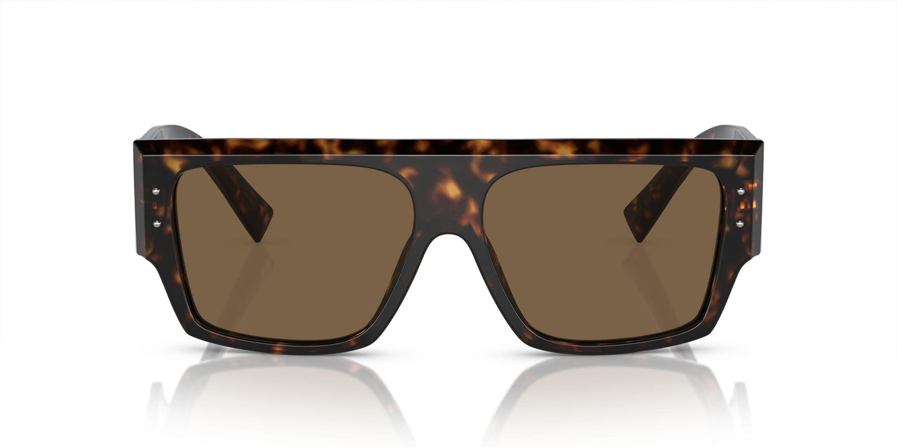 502/73 - Tortoise - Dark Brown
