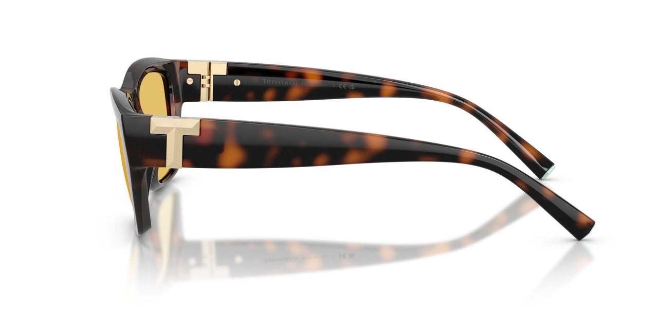 845685 - Tortoise - Yellow