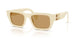 21D10Y - White - Brown