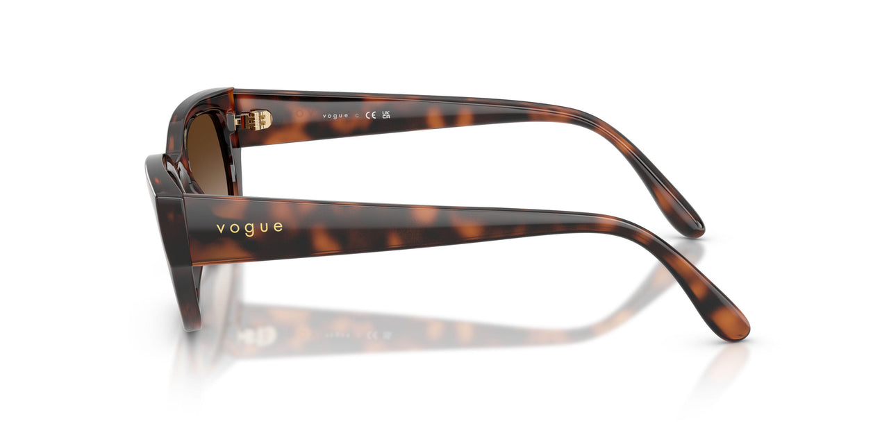 271813 - Brown - Gradient Brown