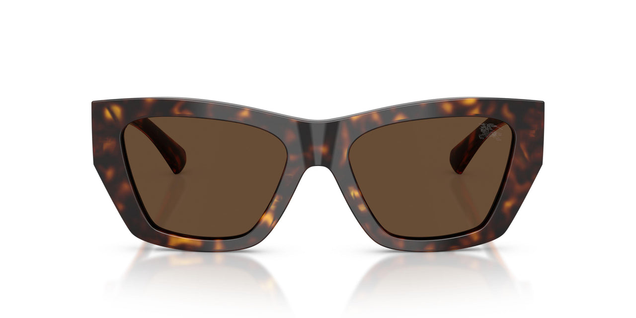 300273 - Brown - Dark Brown