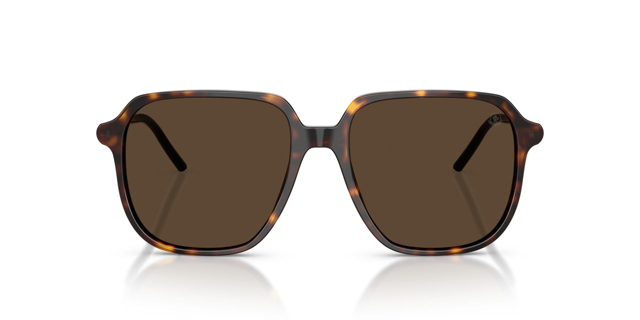 3002M4 - Tortoise - Brown Solid