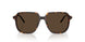 3002M4 - Tortoise - Brown Solid