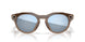 800206 - Brown - Prizm Deep Water Polarized