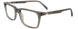 20 - Transparent Grey Brushed