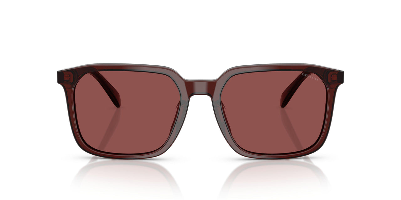 585075 - Red - Wine Solid