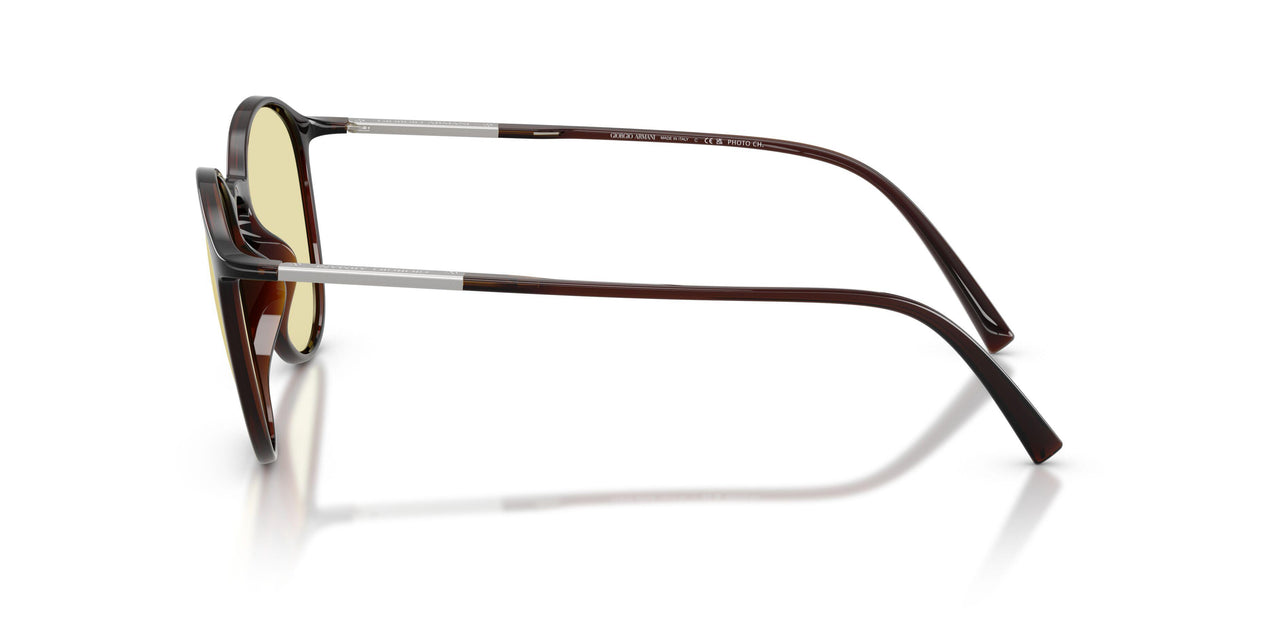 6239M4 - Brown - Photochromatic Brown
