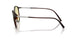 6239M4 - Brown - Photochromatic Brown