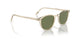 109452 - Yellow - Green C