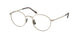 Polo 1221TD Eyeglasses