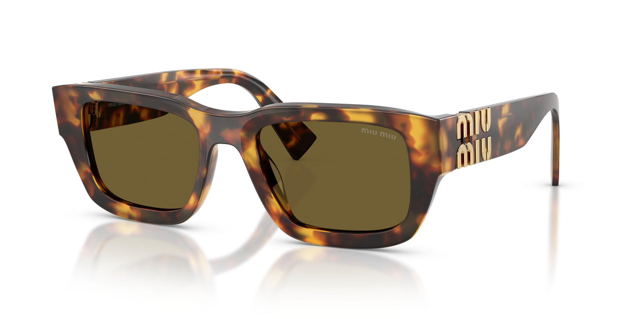 14L09Z - Tortoise - Dark Brown