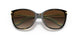 601/13 - Brown - Gradient Brown