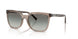 294011 - Brown - Gradient Grey