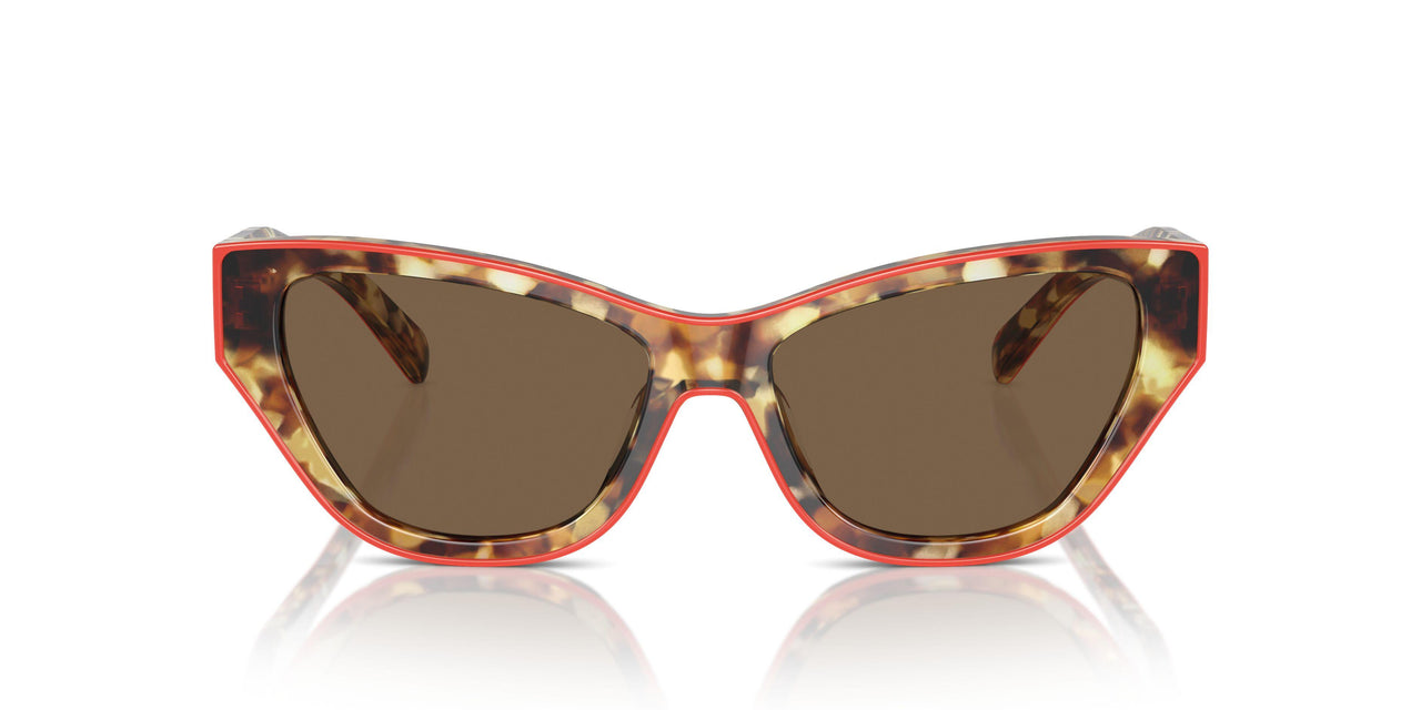 200073 - Pink - Dark Brown