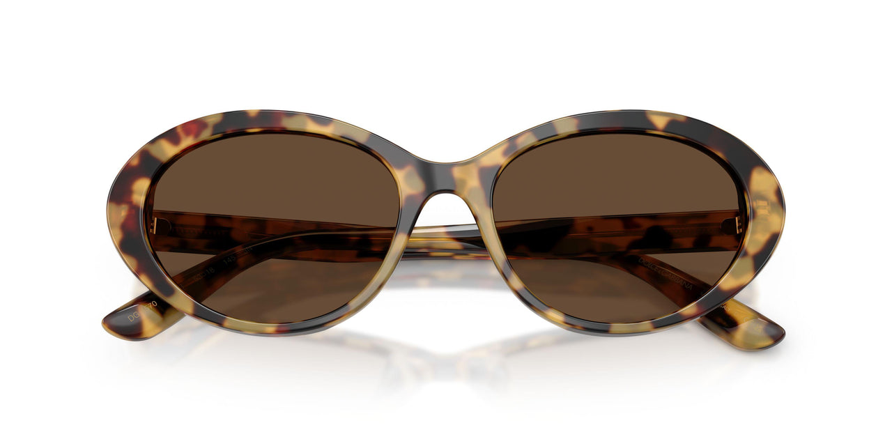 512/73 - Tortoise - Dark Brown