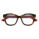 002 - Havana/Blue - Transparent