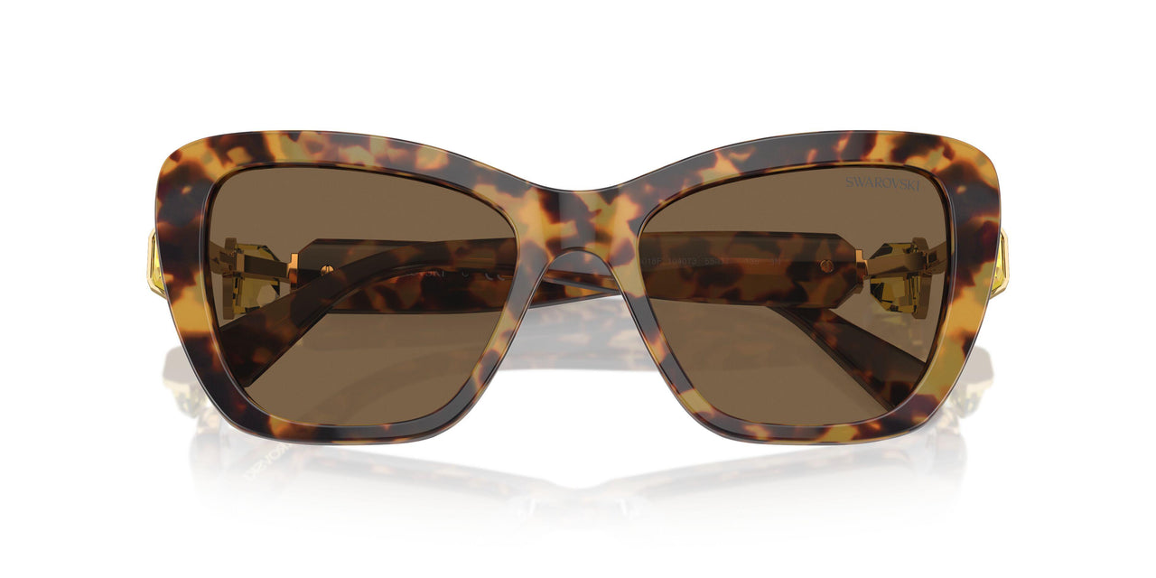 104073 - Tortoise - Dark Brown