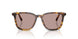 14L20I - Tortoise - Light Purple Brown
