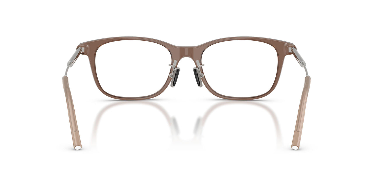 3019 - Brown