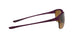 919103 - Violet - Brown Gradient Polarized