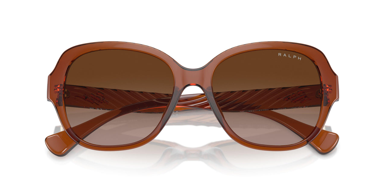 614913 - Brown - Gradient Brown